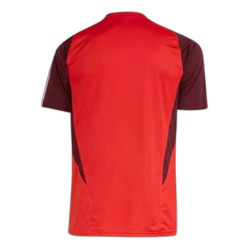 Training 24/25 Fan Shirt