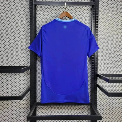 Away 24/25 Fan Shirt