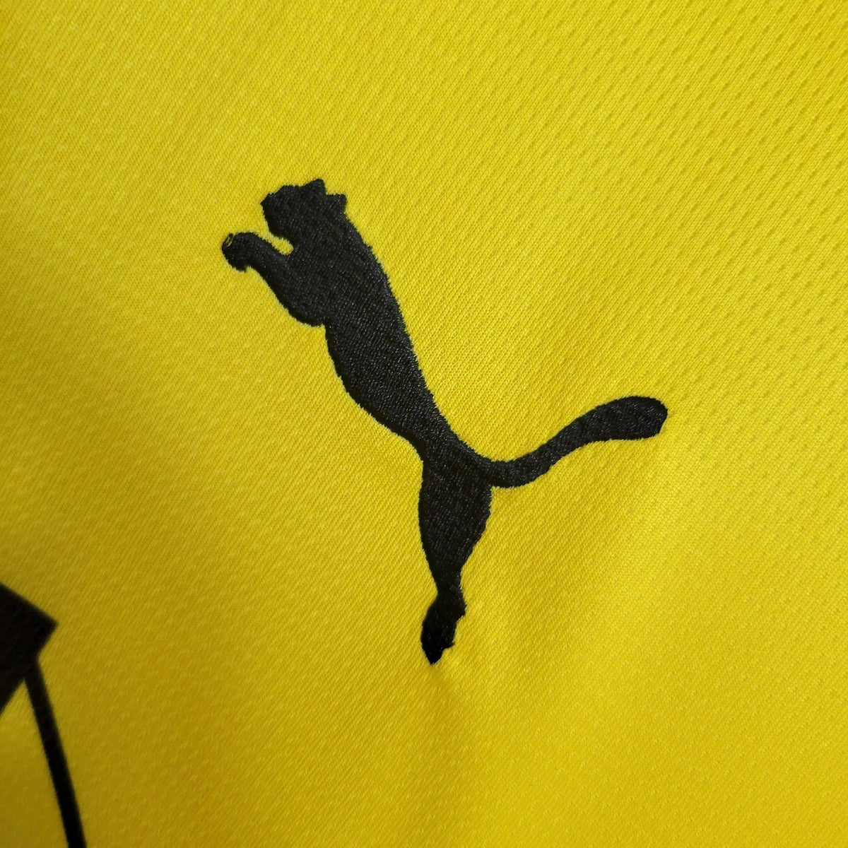 Home 23/24 Fan Shirt