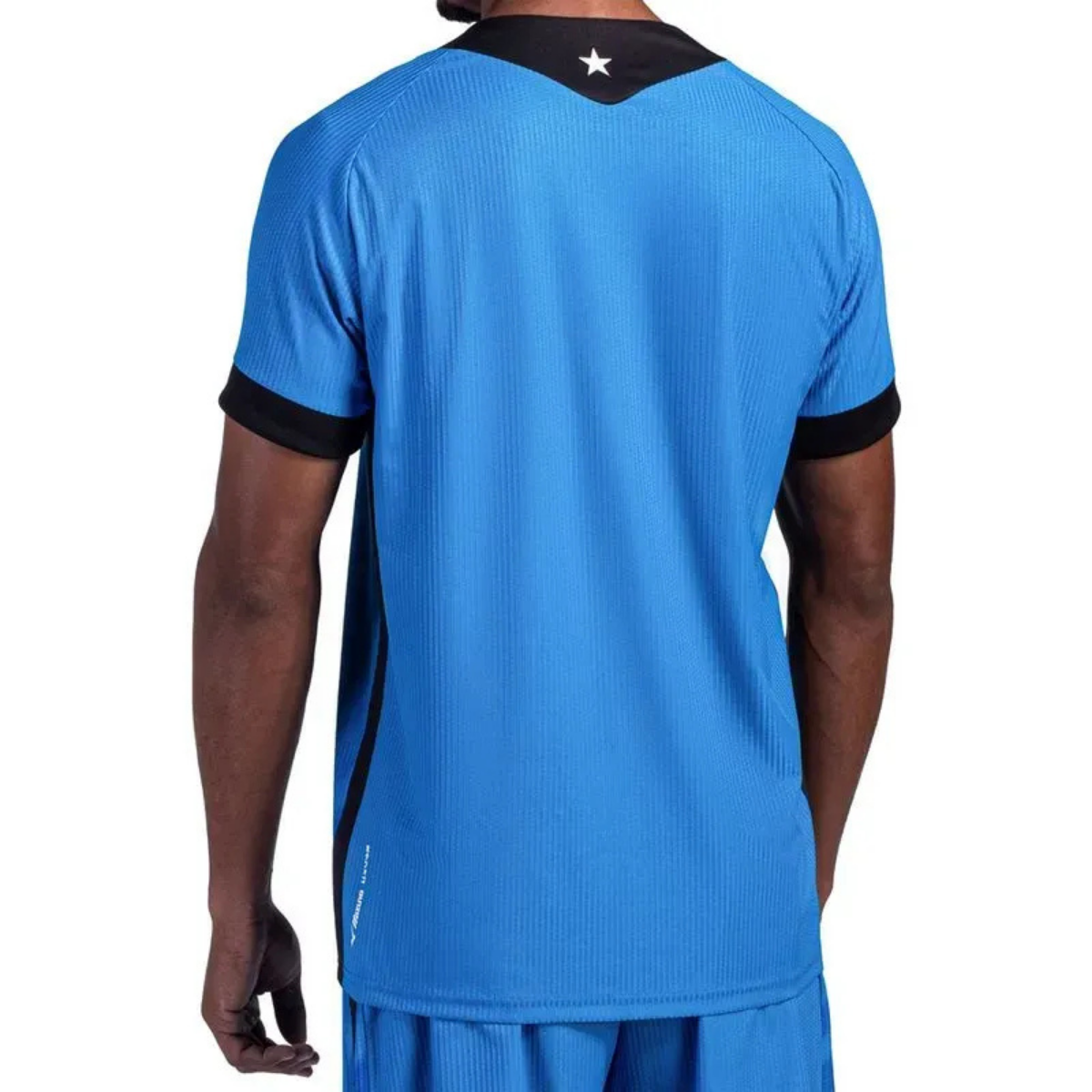 Jersey Botafogo Goalkeeper Away 2026-27