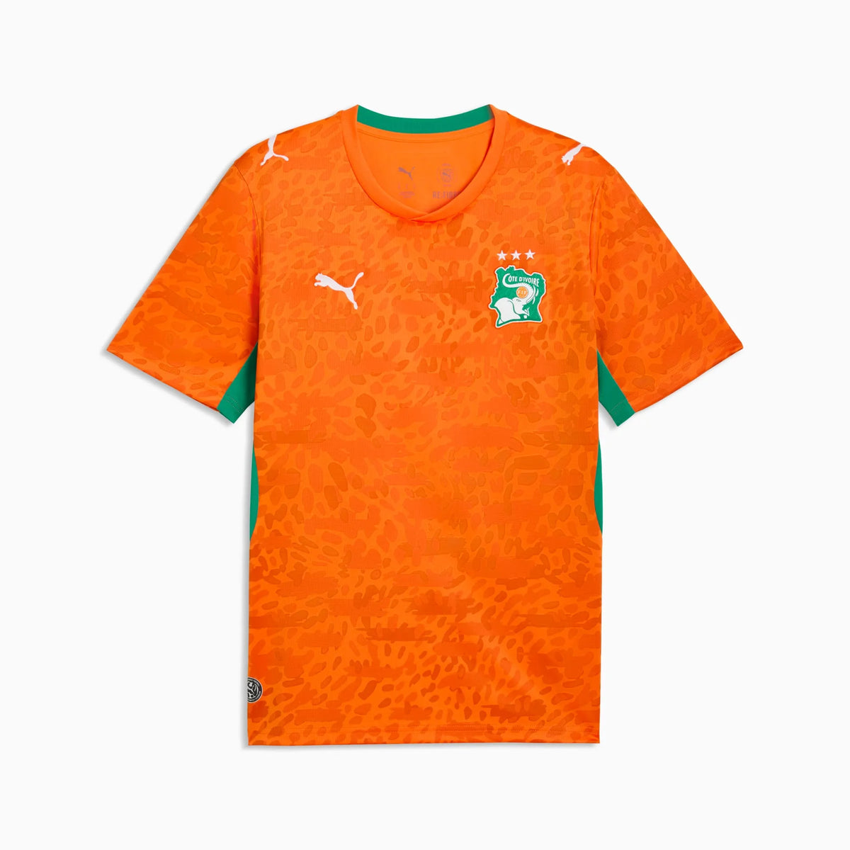 Jersey Côte d'Ivoire Home 2026