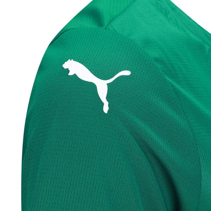 Jersey Palmeiras Home Women 2025-26