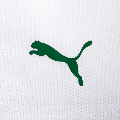 Children's set Palmeiras Home 2026-27